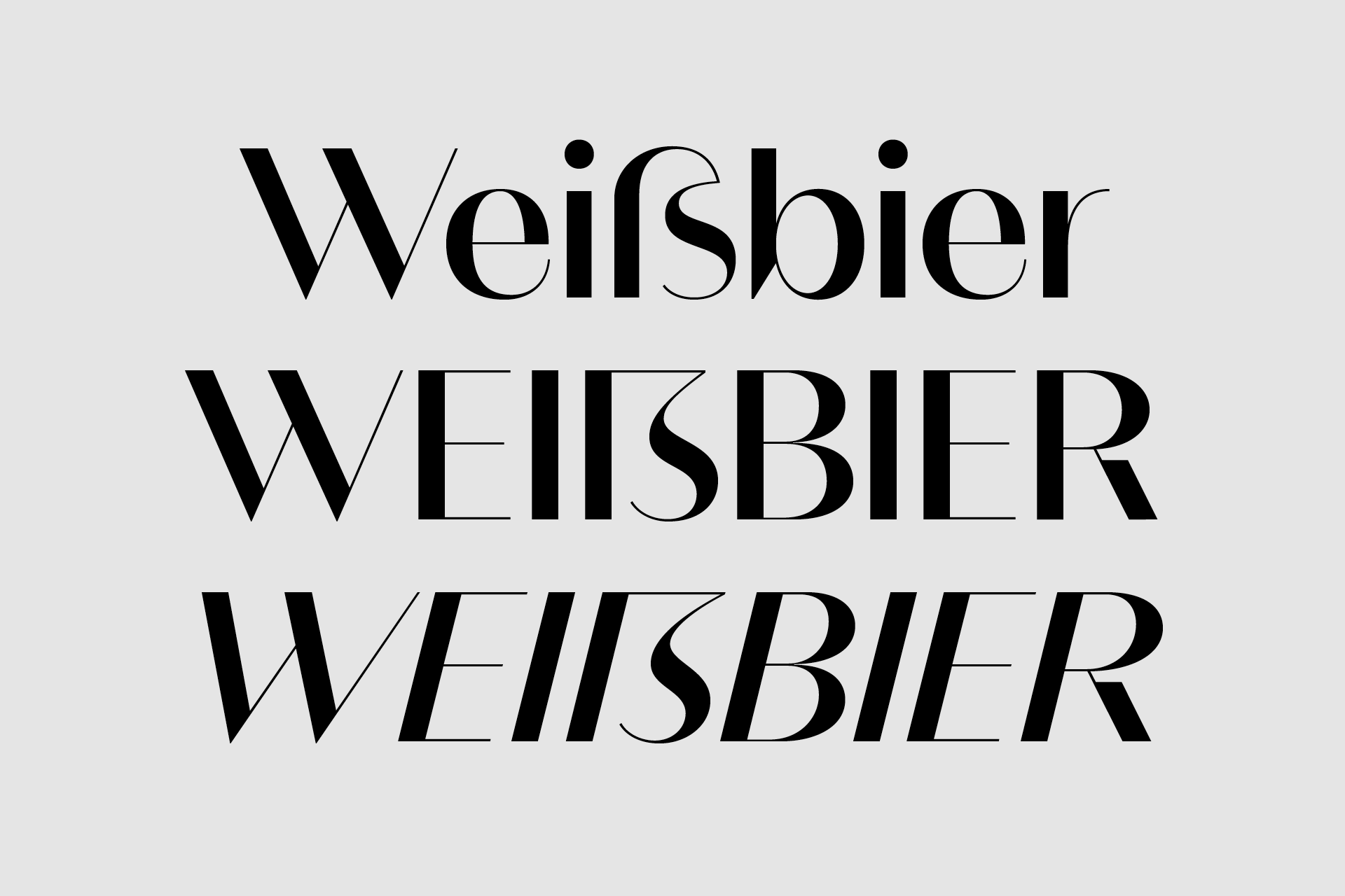 Rene-Bieder-Magnat
