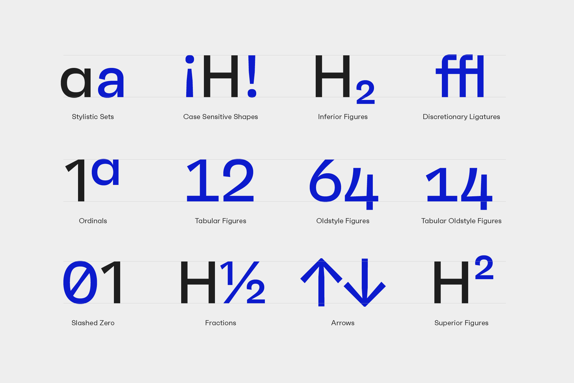 Rene Bieder Faktum Type Family